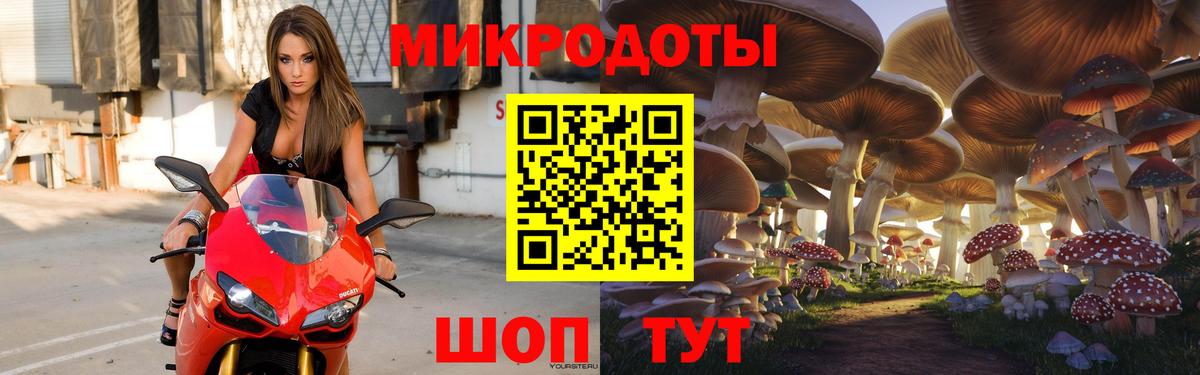 Галлюциногенные грибы Psilocybine cubensis Топки