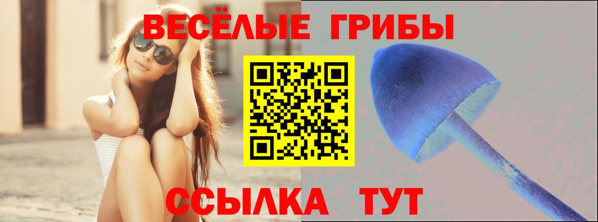 Галлюциногенные грибы Magic Shrooms  Вход с VPN  Галлюциногенные грибы мицелий  Топки 